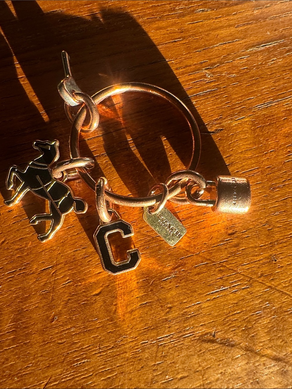 Gold Charm Hoop Earring with Black Accents